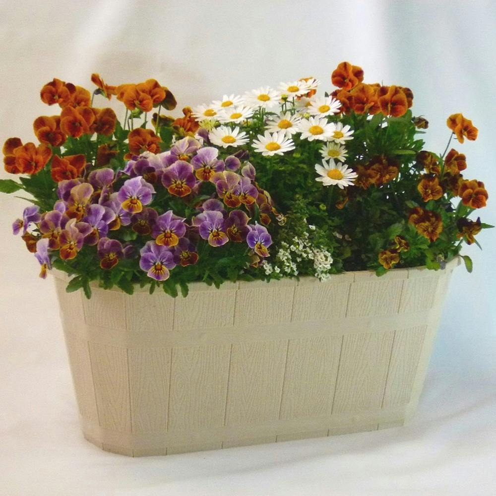 カスクオーバル 450 ライトベージュ | 鉢・プランター・花台・温室