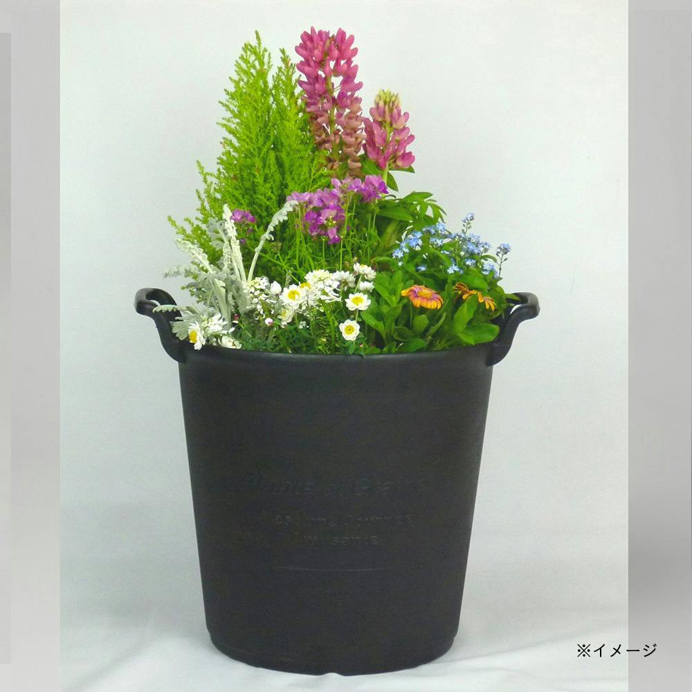 パニエポット250 ブラック | 鉢・プランター・花台・温室 通販