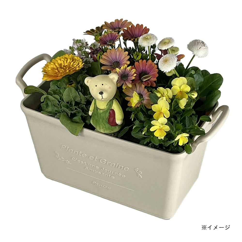 箱付新品4個セット キャサリン柄 雪粉引 高台鉢 プランドパリ/ イマン マニー カインズ SPOT セメント鉢 ザラ ホワイト S | 鉢・プランター