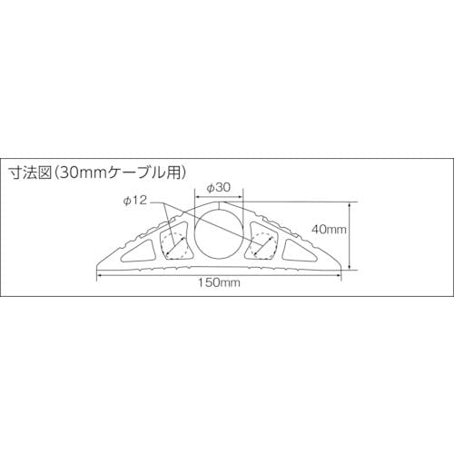 【CAINZ-DASH】大研化成工業 ケーブルプロテクタ2 30x8M ブラック【別送品】
