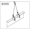 【CAINZ-DASH】三木ネツレン ＨＶ－Ｇ型　２ＴＯＮ　竪吊・横吊兼用クランプ B2172【別送品】