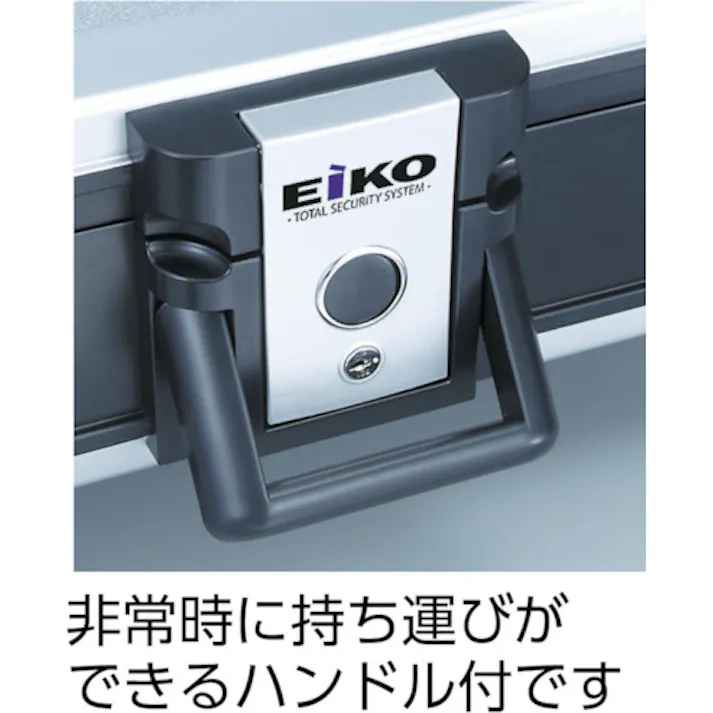 【CAINZ-DASH】エーコー 耐火・防水プロテクターバック シリンダ式 2013 2013【別送品】