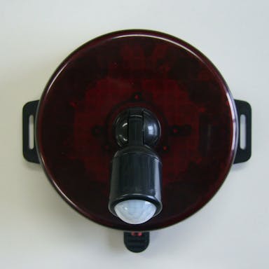 リーベックス センサーライト SLR-100