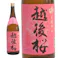 (新潟)普通酒 越後桜 1800ml【別送品】