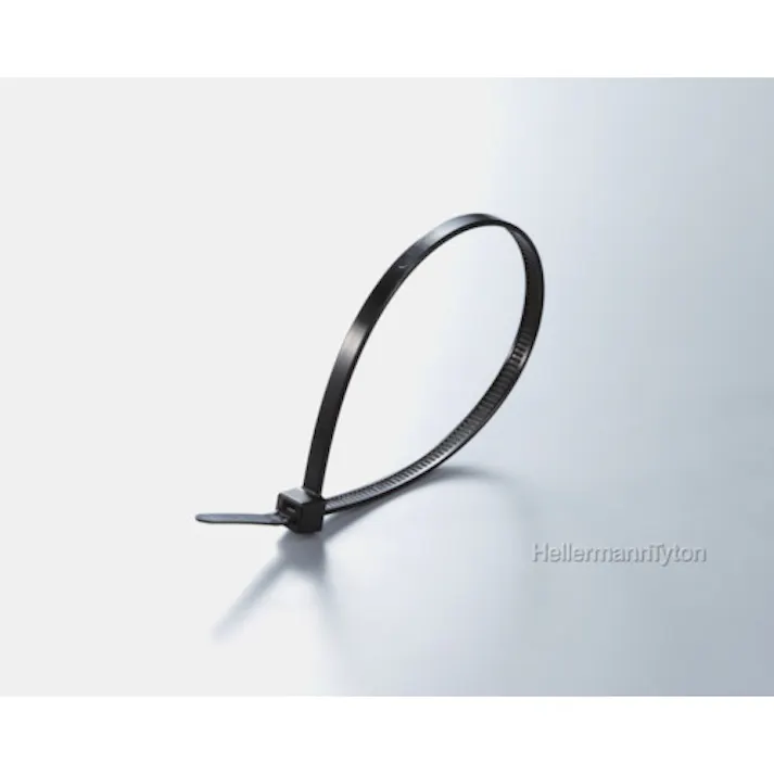 【CAINZ-DASH】ヘラマンタイトン ガルバロック 幅2.5×長さ100mm 100本入 屋内外兼用 GL100【別送品】