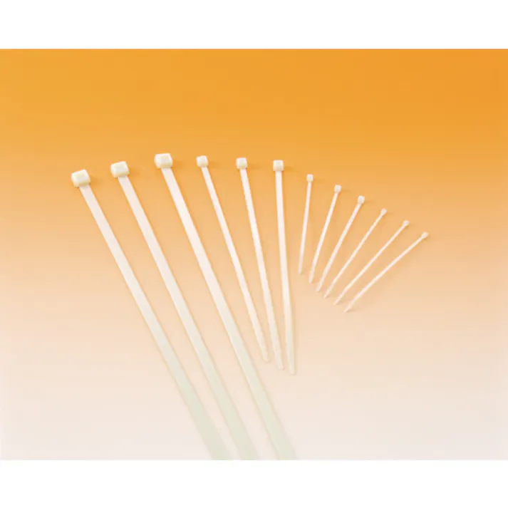 【CAINZ-DASH】ヘラマンタイトン MSタイ 幅4.6X長さ202mm 100本入 屋内用 T50R-HS【別送品】