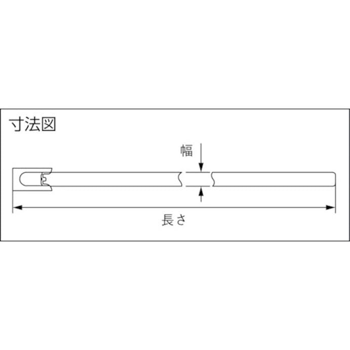 【CAINZ-DASH】ヘラマンタイトン インシュロックタイ　メタルタイ　ＳＵＳ３１６製　（１００本入） STB-520S【別送品】