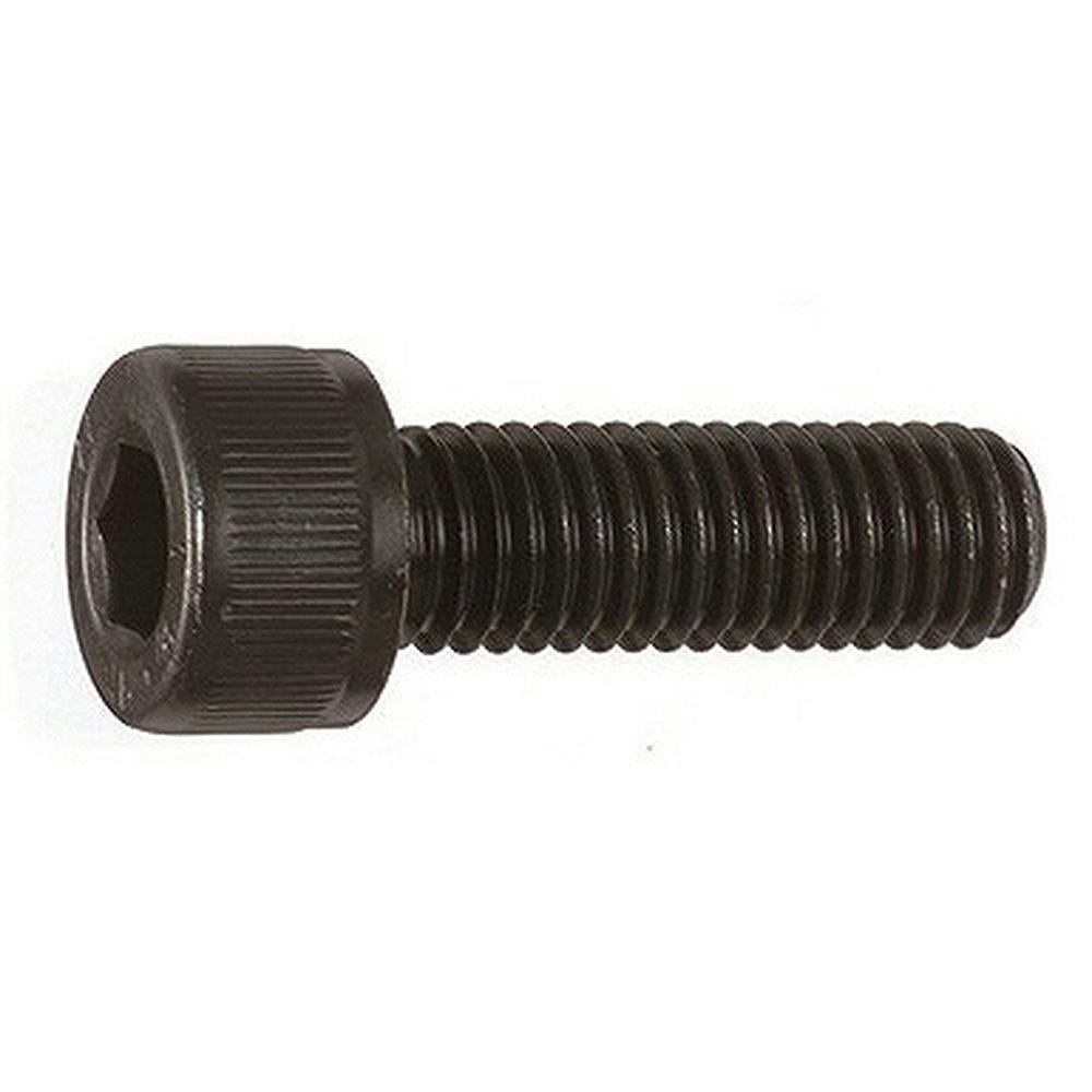 法螺貝 約36.5㎝ 木製歌口,赤紐付　新品　 MH-420 Amazon.co.jp: スターエム 58X-S3090 ハイス六角軸皿取錐&埋木錐セット