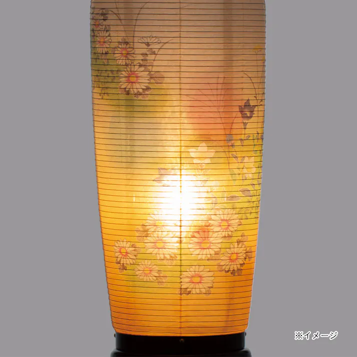 回転 あかつき 2号