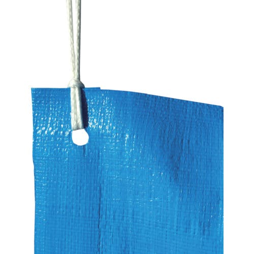 CAINZ-DASH】旭産業 ブルーシート ＃3000 ノンメタルハトメ