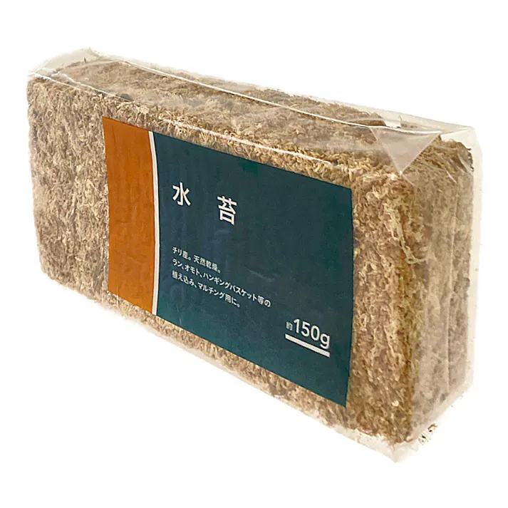 カインズ 水苔 約150g