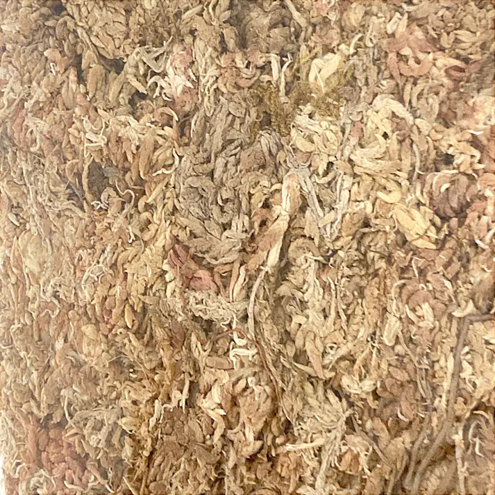 カインズ 水苔 約150g