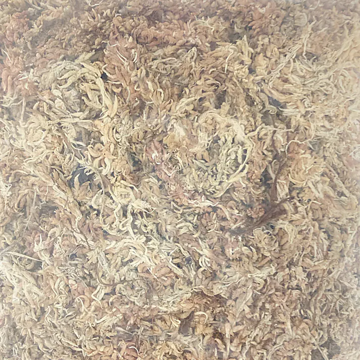 カインズ 水苔 約500g