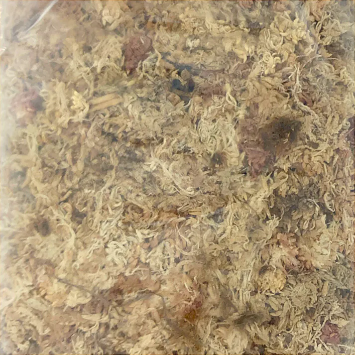 カインズ 水苔 約1kg