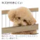 リッチェル アルミフレームペットサークル 90-60 ベージュ