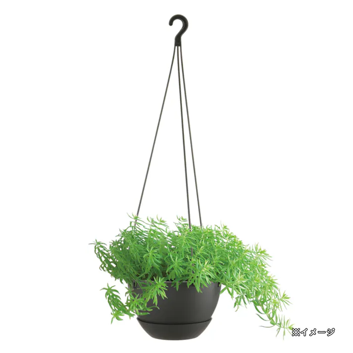 ハンギングボール プレーン 6号 ダークグレー