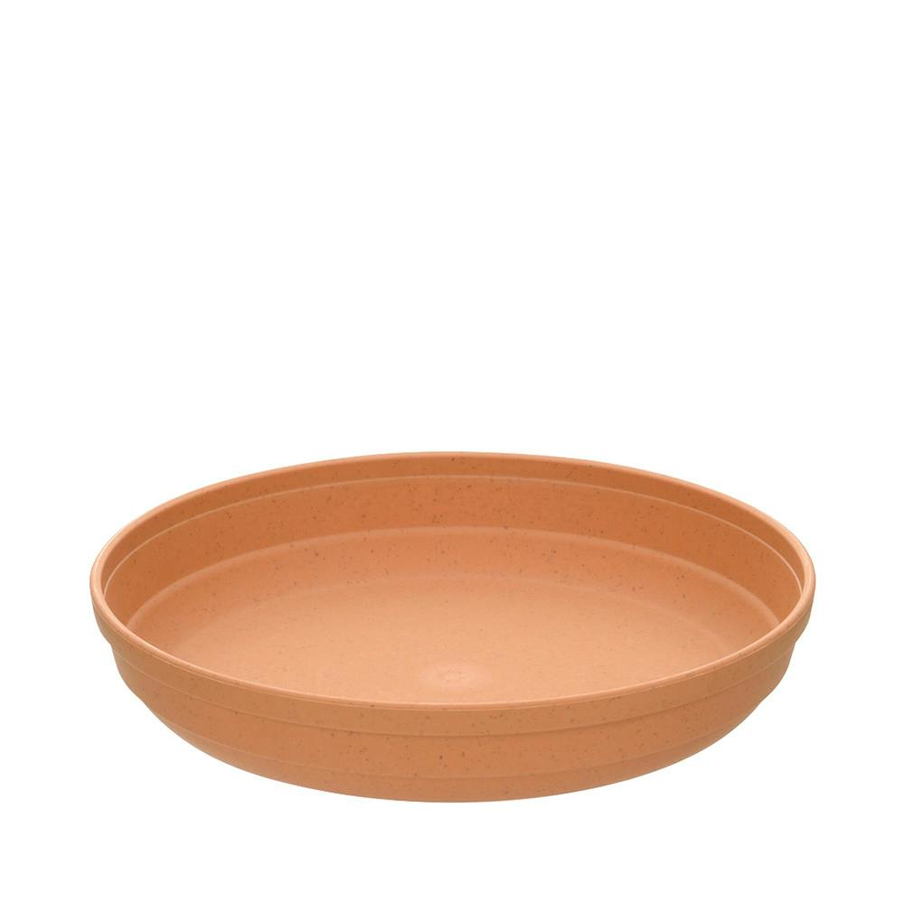 ひよっこ プレート 6号 ブラウン