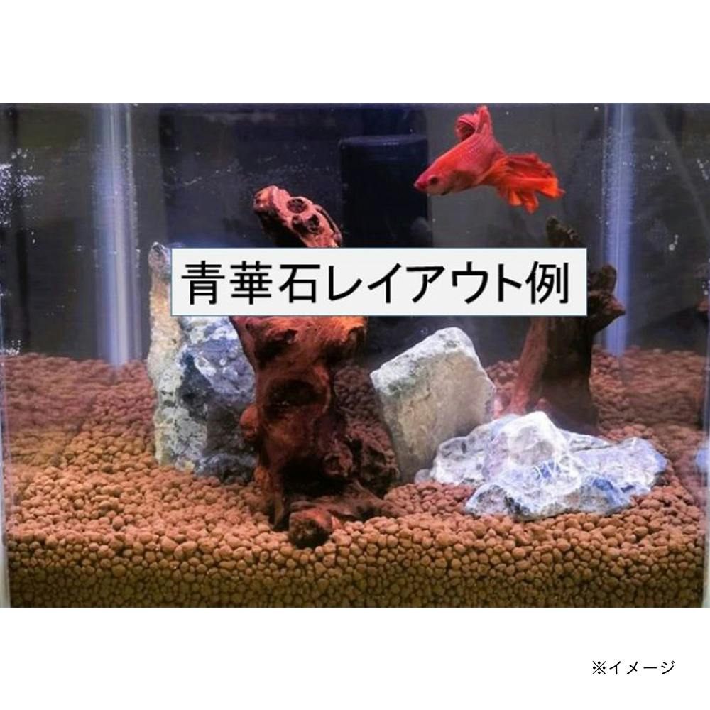 レイアウトデザイン 青華石 S | 水中生物用品・水槽用品 通販