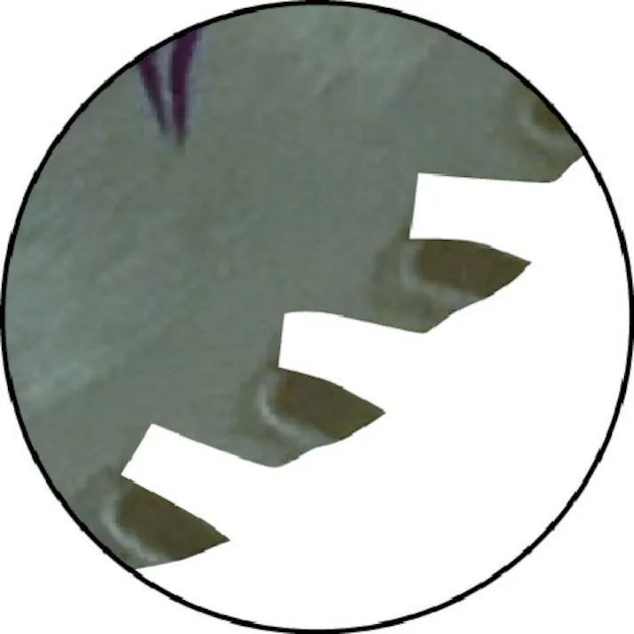 【CAINZ-DASH】チップソージャパン チップソー ドイツベストマックスキッチンパネル用 外径100mm KP-100【別送品】