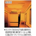 【CAINZ-DASH】中川ケミカル オレンジ４０Ｗレギュラー BG-OR-40W-R【別送品】
