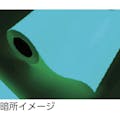 【CAINZ-DASH】中川ケミカル 蓄光ルーナシート５０ｍｍ幅×１０ｍ 0050RUNA10【別送品】