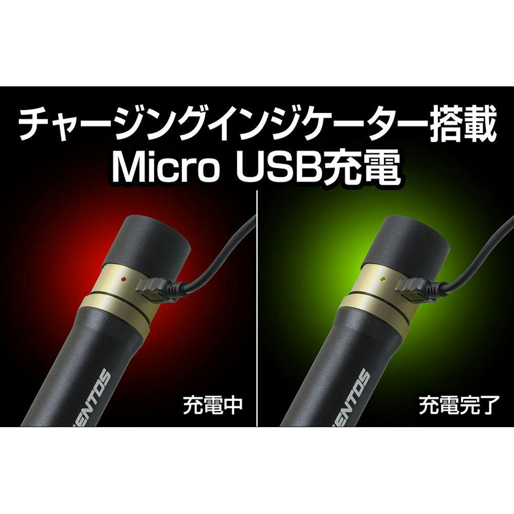 ジェントス レクシード LEDフラッシュライト 900ルーメン RX