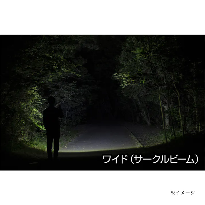 ジェントス LEDフラッシュライト 閃 320ルーメン SG-501