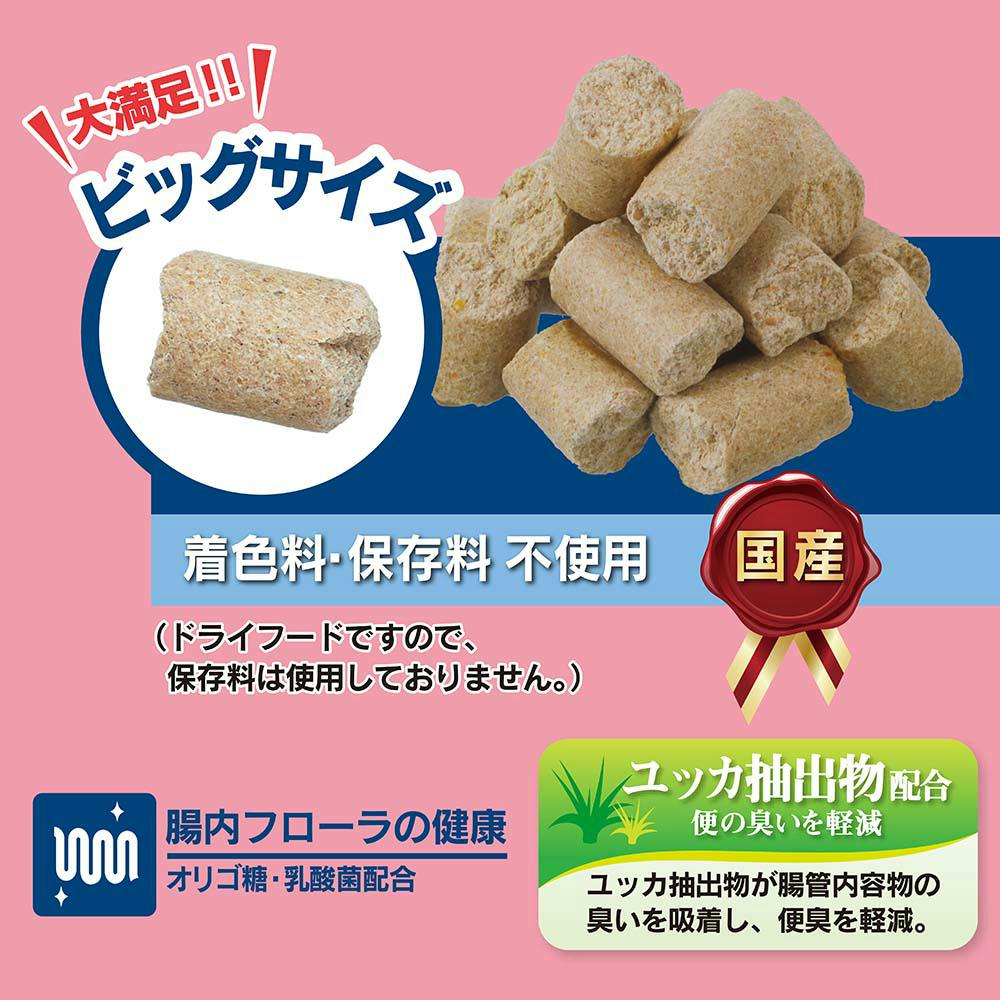 ハムスターフード ハードタイプ 600g | ペット用品（小動物・鳥・亀