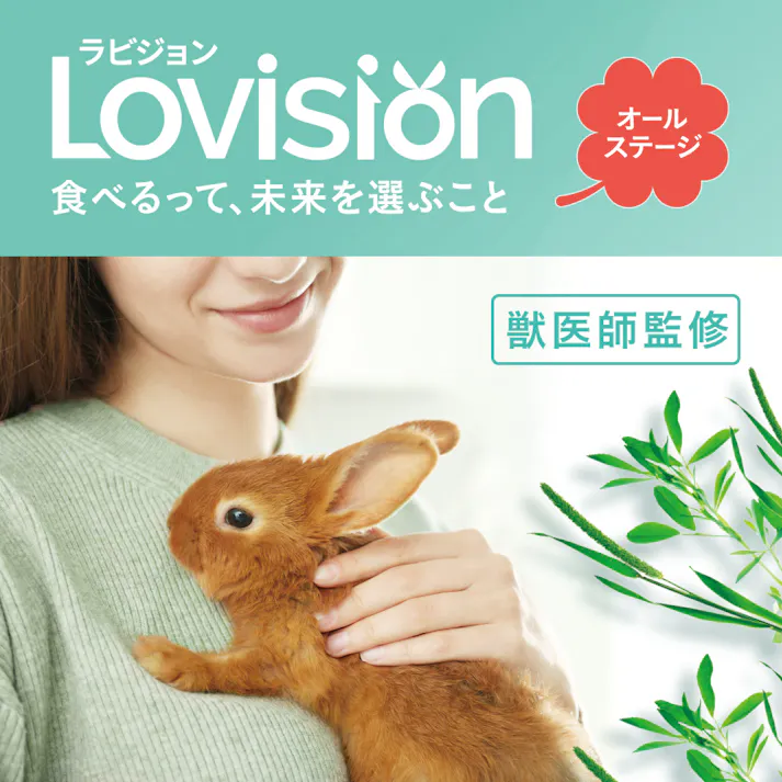 ラビジョン オールステージ 600g