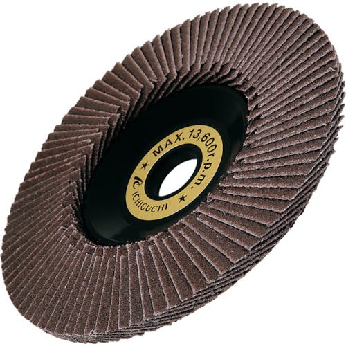 CAINZ-DASH】イチグチ テクノディスクA－E 外径×穴径：100