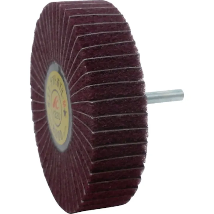 【CAINZ-DASH】イチグチ スコーライトホイルM 軸径6mm #320 外径100×幅25×軸長40 SW10025-M-320【別送品】