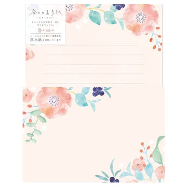 今日のお手紙レターセット 桃色の花