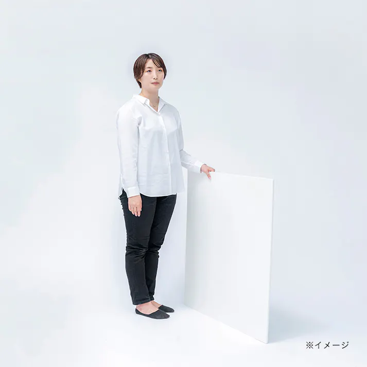 東京防音 ホワイトキューオン ESW-10-910 600×910mm 厚み10mm
