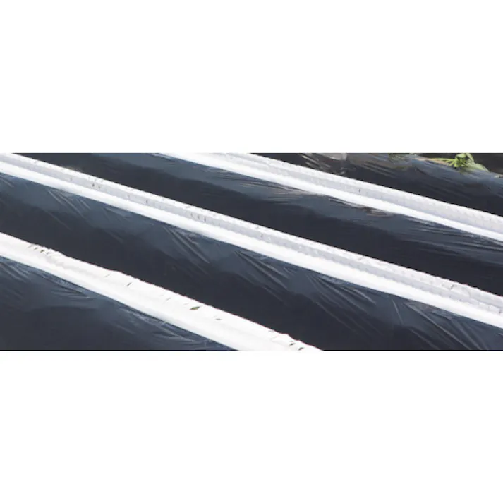 【CAINZ-DASH】日東エルマテリアル さつま芋苗生育保護シート めーでるシート 260mm×100m 白 MDL-5【別送品】