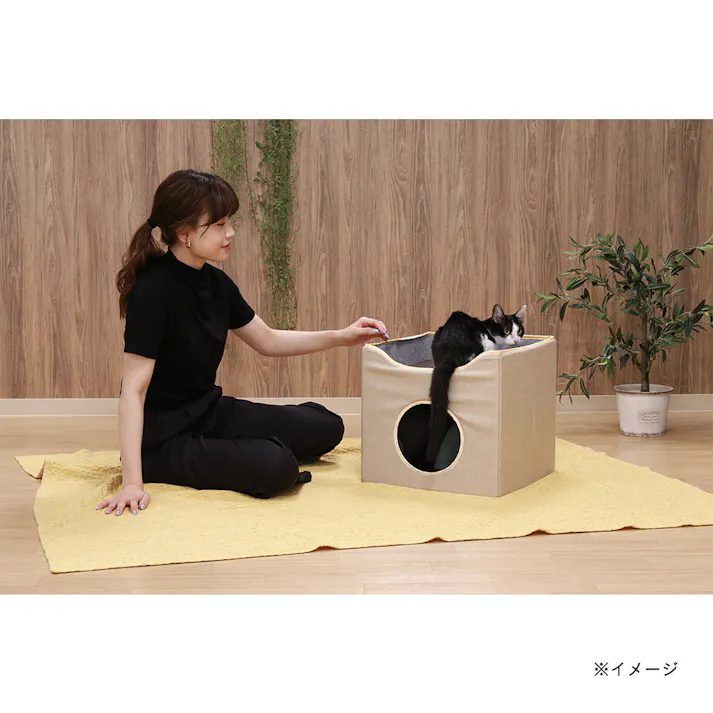 ペットハウス ルーフベッド付き ベージュ【別送品】