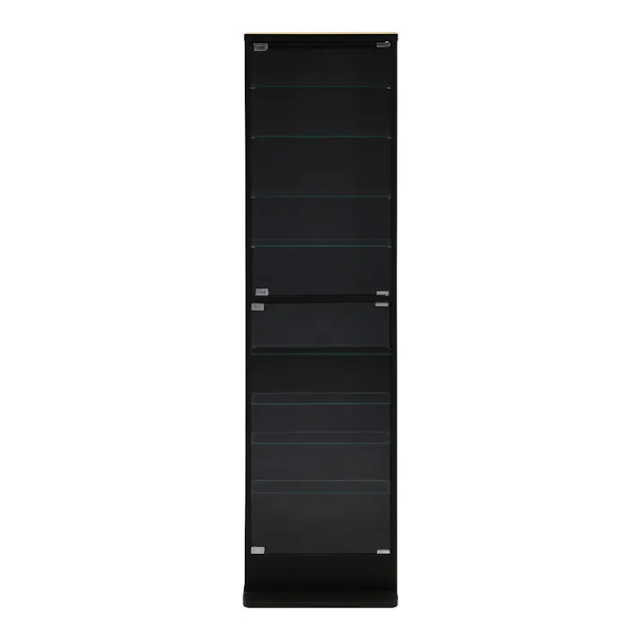 ガラスコレクションケース ハイタイプ 浅型 BK【別送品】