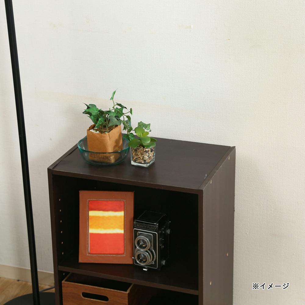 カラーボックス 可動棚 2段 ブラウン (販売終了) | カラーボックス