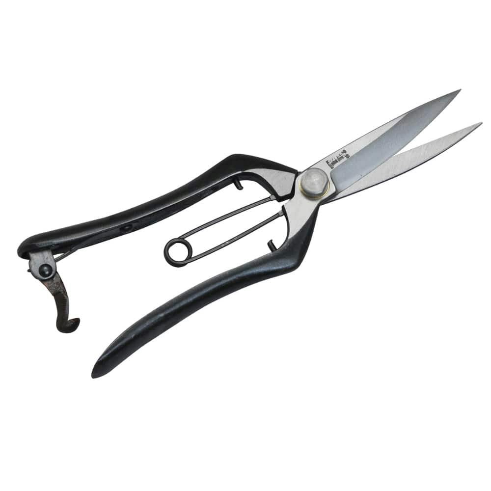 オールド ウダイカンバ 切り株 輪切り 高さ約15㎝ 丸太 輪切り 15