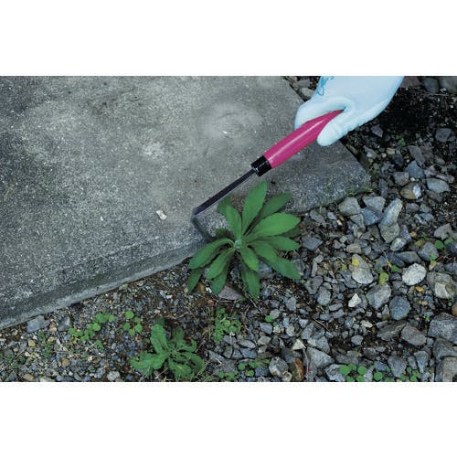 CAINZ-DASH】ドウカン 草削 コンコン鎌 ピンク 長柄 全長370mm