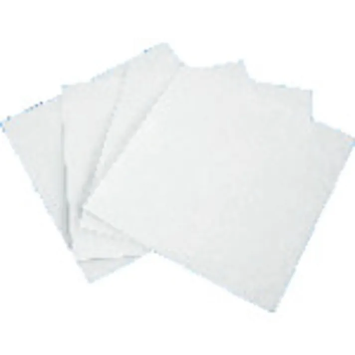 【CAINZ-DASH】日本レヂボン ダイヤモンドシート 粒度#3000 SD3000 AS-N 100X100【別送品】