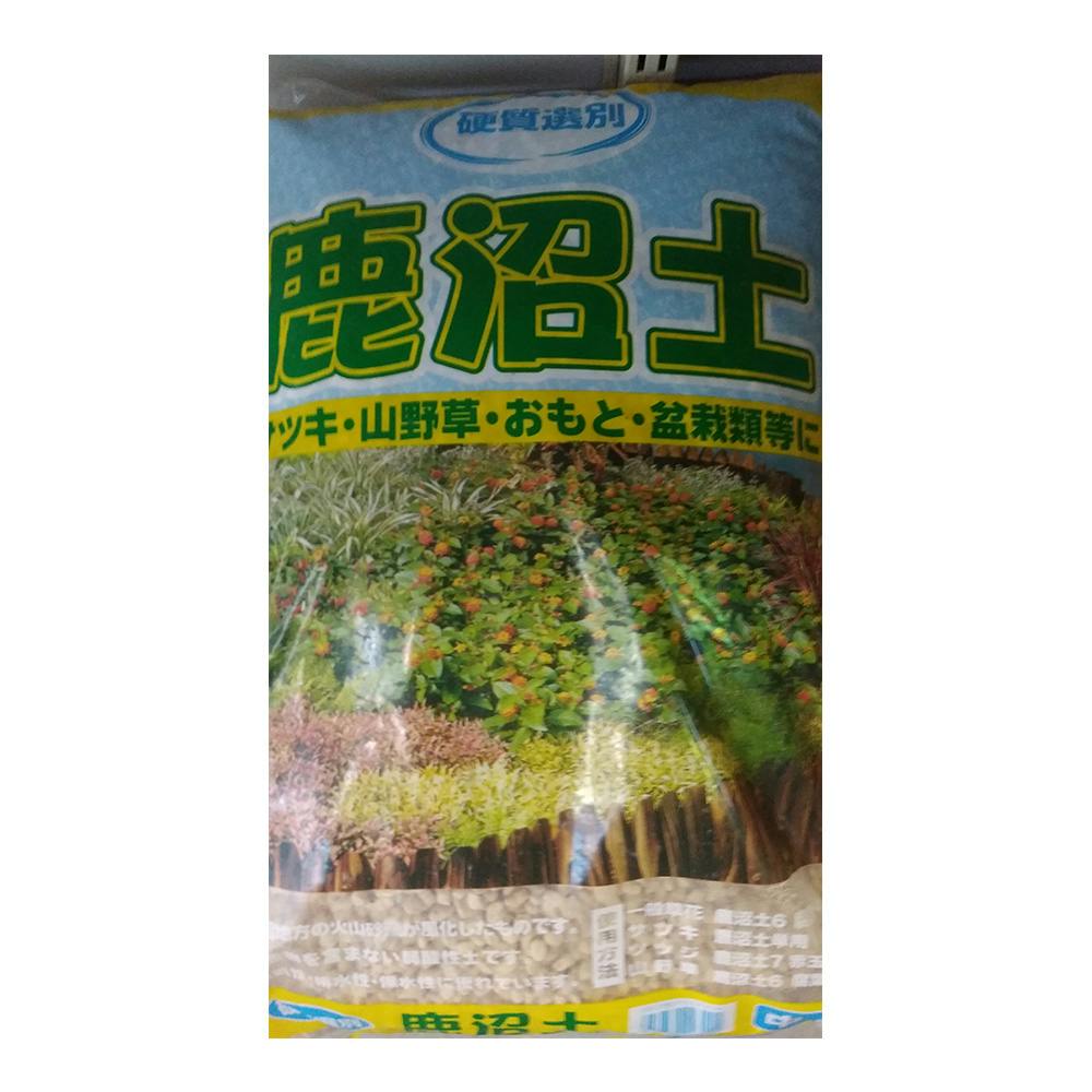 Foil】(270)□フルアート□《森/Forest》[BFZ] 土地 | 日本最大