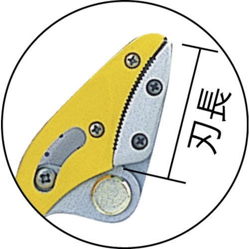 まさひさ　 CAINZ-DASH】ムサシ 高枝切りハサミ スマートカット軽量タイプ