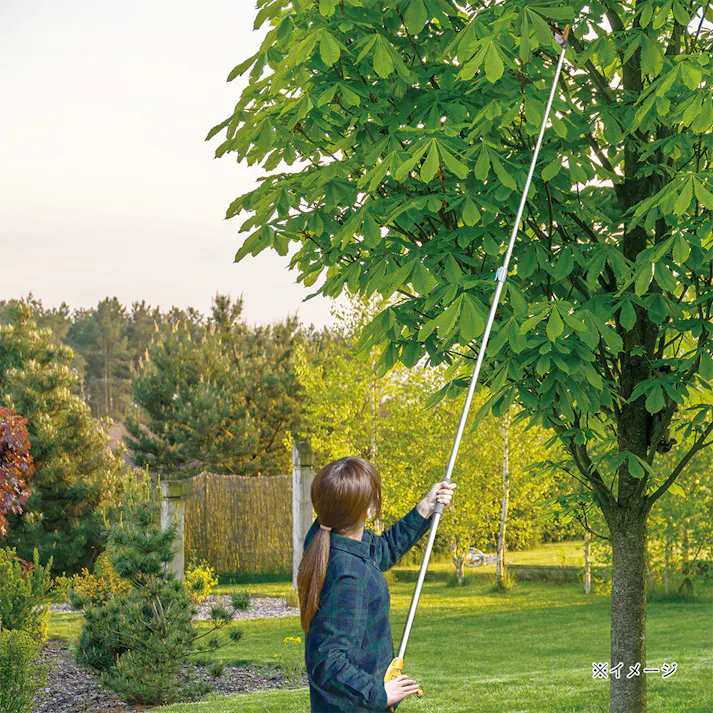 替刃2段式高枝切鋏アンビル刃 621