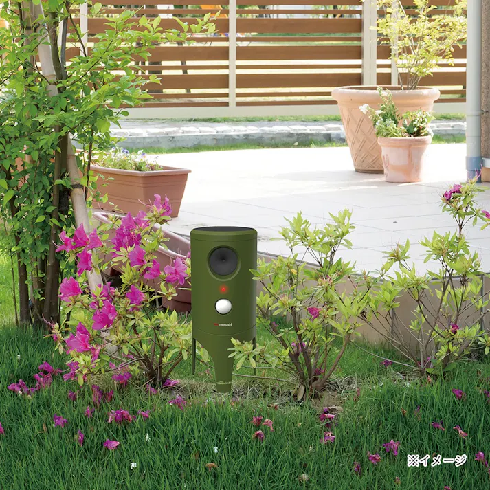 猫しっしソーラー式