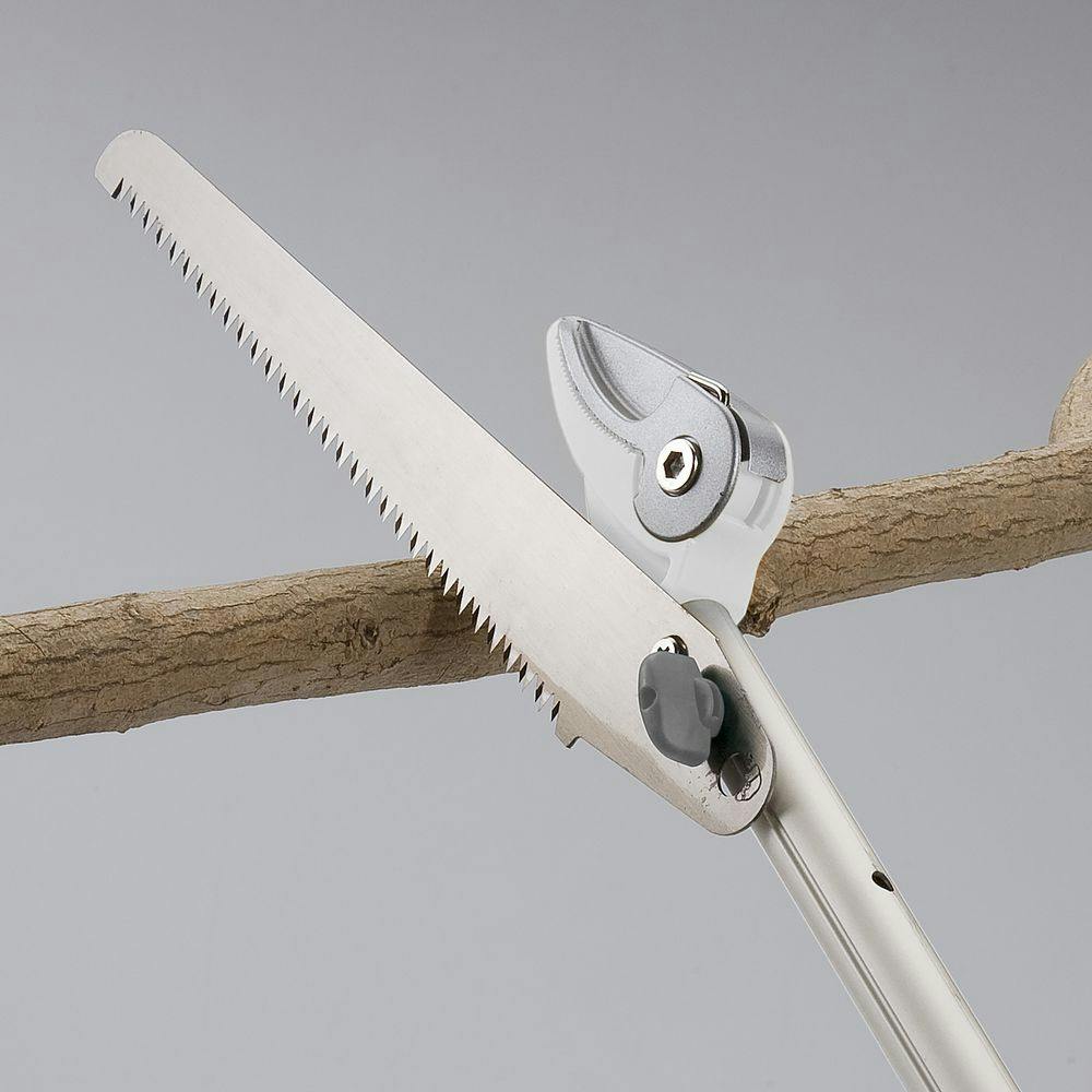 ⚠️コロミー【確認用】②キタアカリ M 3kg・ピルカ S 5kg 8kg ⚠️コロミー【確認用】②キタアカリ M 3kg・ピルカ S 5kg 8kg