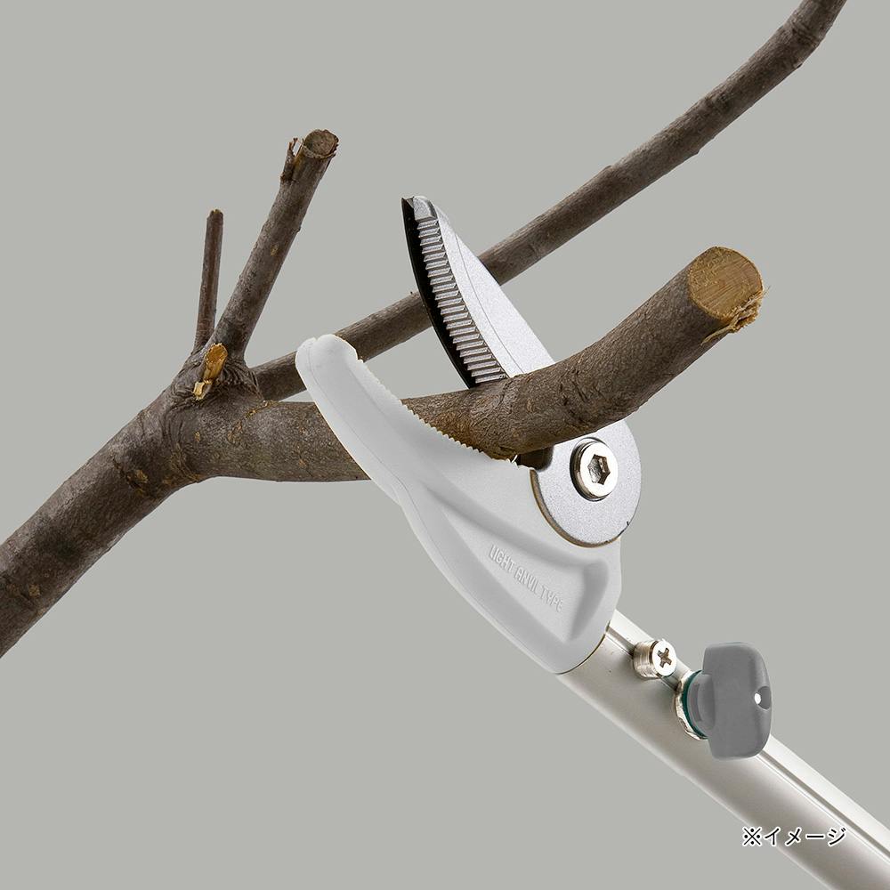 ⚠️コロミー【確認用】②キタアカリ M 3kg・ピルカ S 5kg 8kg ⚠️コロミー様専用【確認用】②キタアカリ M 3kg・ピルカ S 5kg 8kg