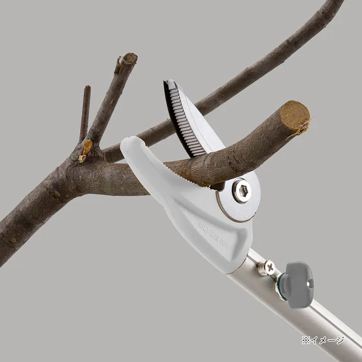 高枝切鋏3段 3.1mアンビル