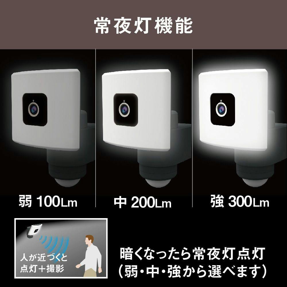 ムサシ 20Wワイド 追尾式LEDセンサーライト Wi-Fiカメラ C-AC1020TA