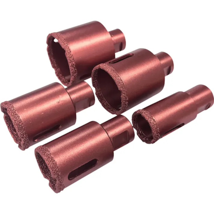 【CAINZ-DASH】ナニワ研磨工業 乾式コアナ21 Φ5×60L FM-2201【別送品】