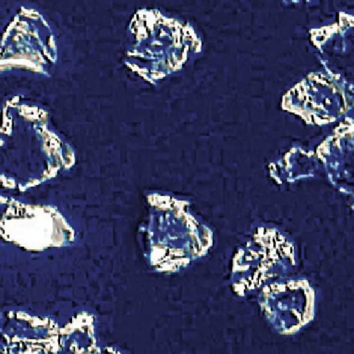 【CAINZ-DASH】ナニワ研磨工業 研磨材 WA微粉1kg #1000 RD-1109【別送品】